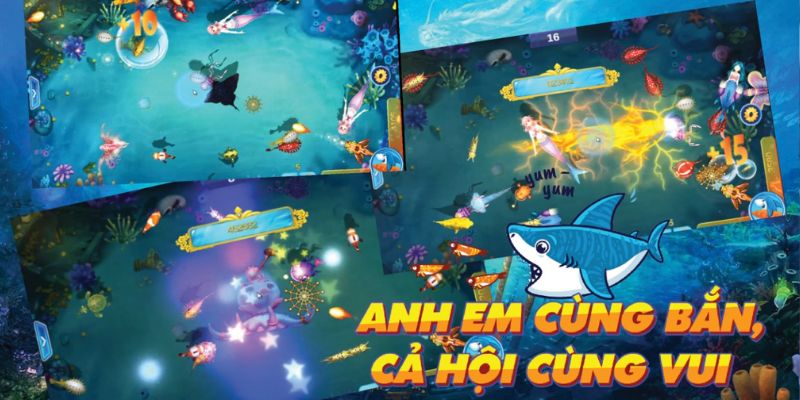 Thông tin giới thiệu về game bắn cá koi trên Banca30